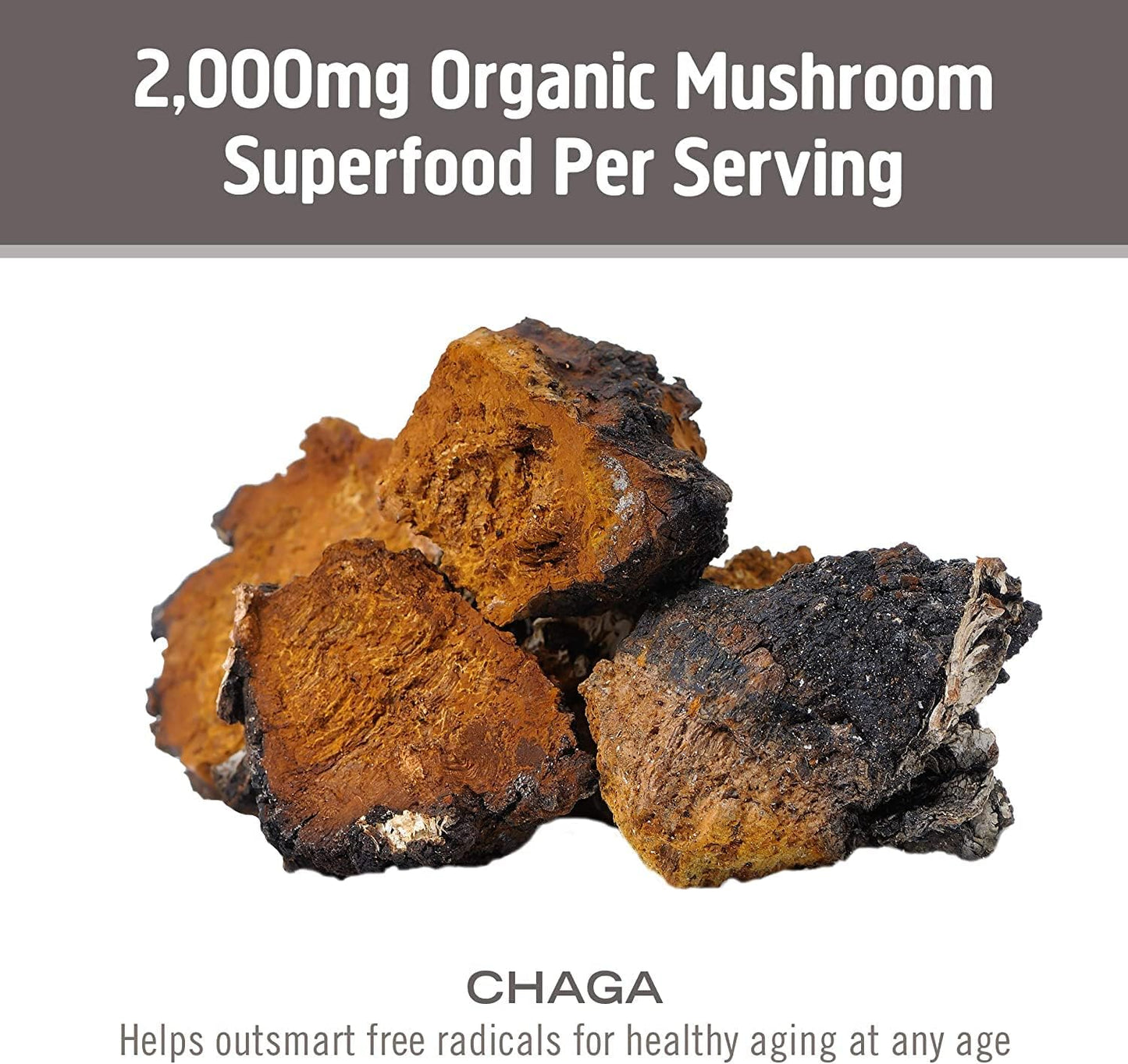 90-Count Om Mushroom Superfood Chaga Capsules: US-Grown Immune Support & Antioxidants