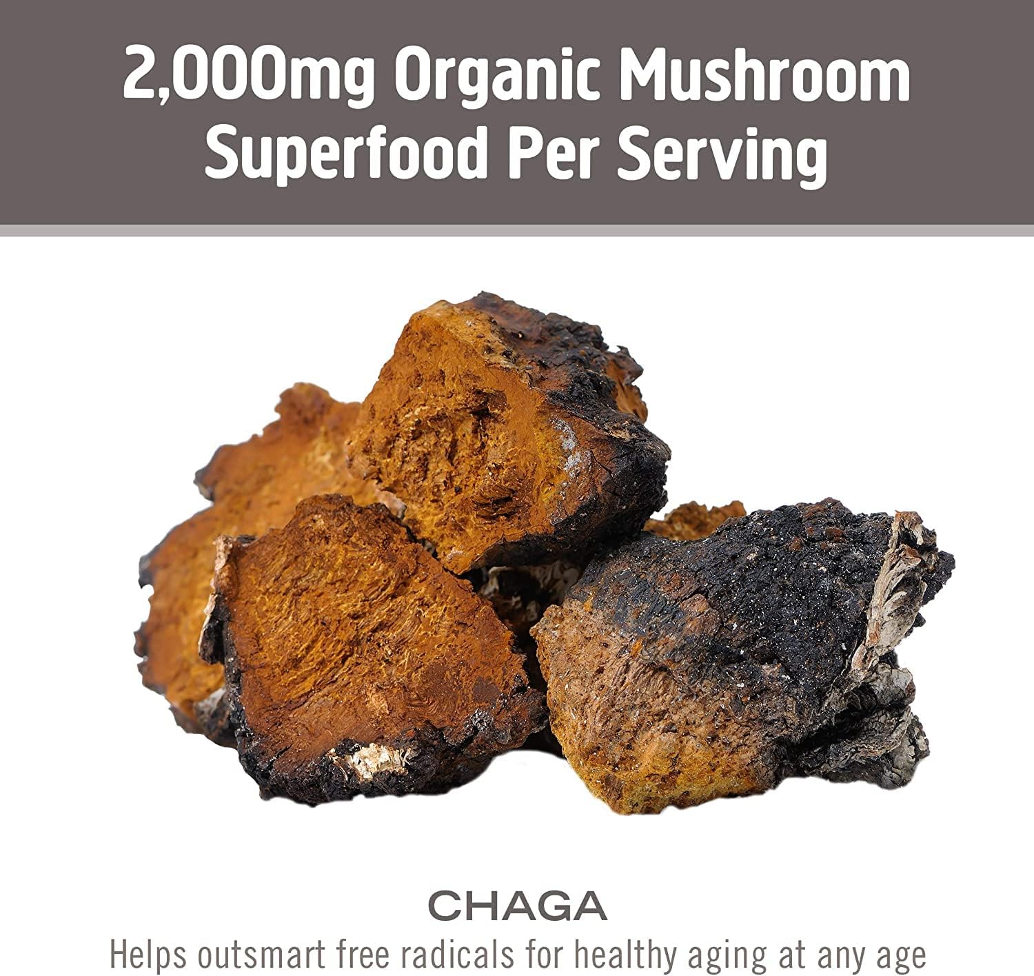 90-Count Om Mushroom Superfood Chaga Capsules: US-Grown Immune Support & Antioxidants