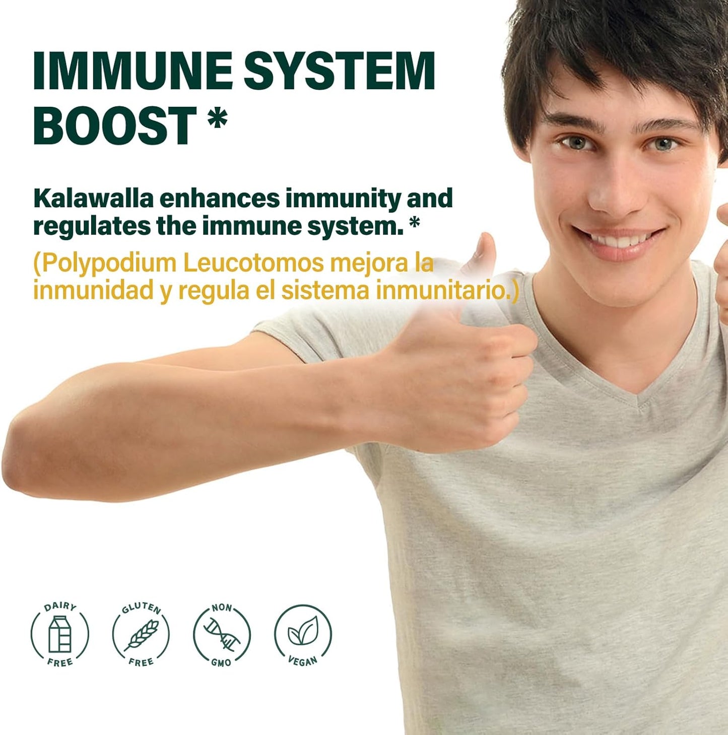 90 Count Polypodium Leucotomos Root Capsules for Immune System Support, Skin Health, Antioxidant Defense - 3 Month Supply