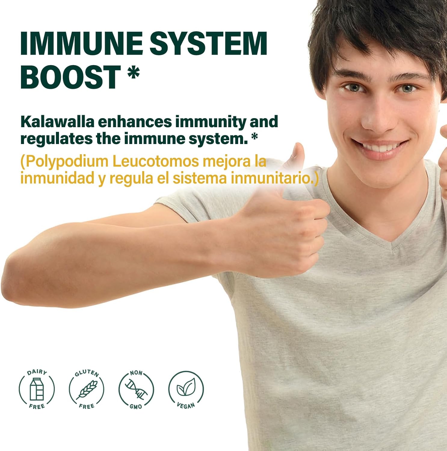 90 Count Polypodium Leucotomos Root Capsules for Immune System Support, Skin Health, Antioxidant Defense - 3 Month Supply