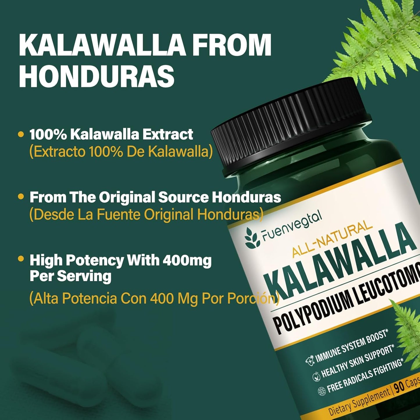 90 Count Polypodium Leucotomos Root Capsules for Immune System Support, Skin Health, Antioxidant Defense - 3 Month Supply