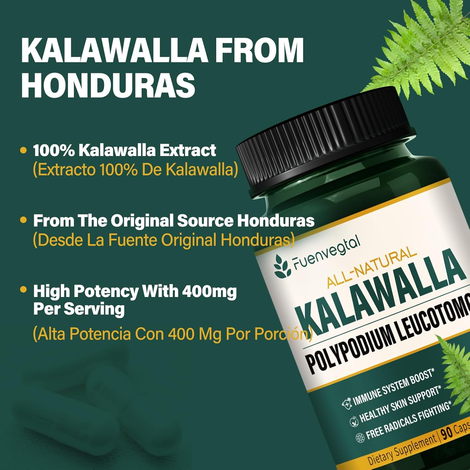 90 Count Polypodium Leucotomos Root Capsules for Immune System Support, Skin Health, Antioxidant Defense - 3 Month Supply