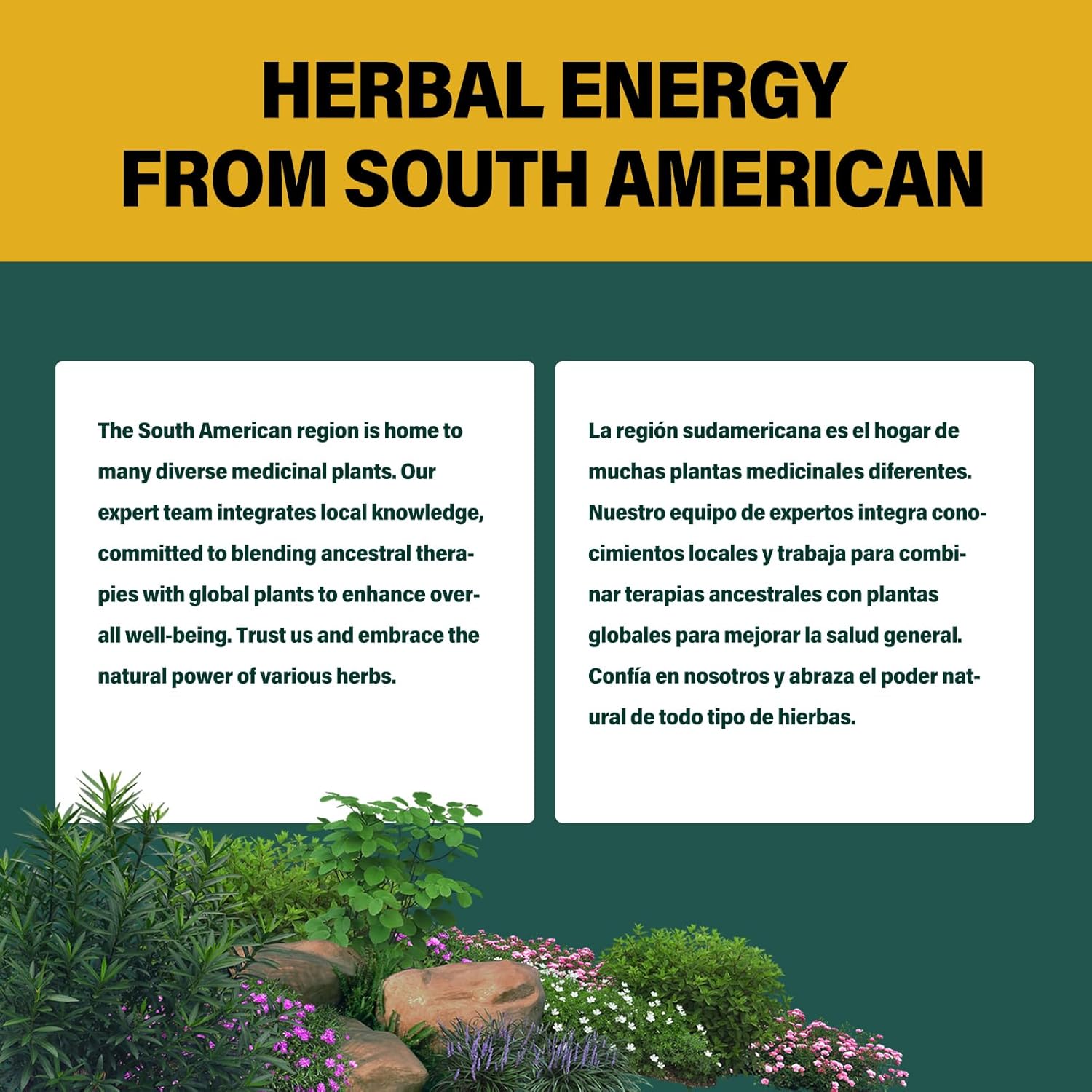 90 Count Polypodium Leucotomos Root Capsules for Immune System Support, Skin Health, Antioxidant Defense - 3 Month Supply