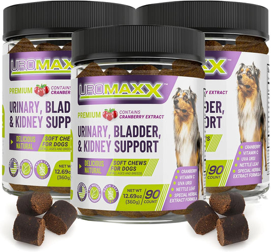 90 Count UroMAXX Dog UTI Treatment Chews - Natural Cranberry & Glucosamine Support - Made in USA - Chicken Flavor - 3 Pack