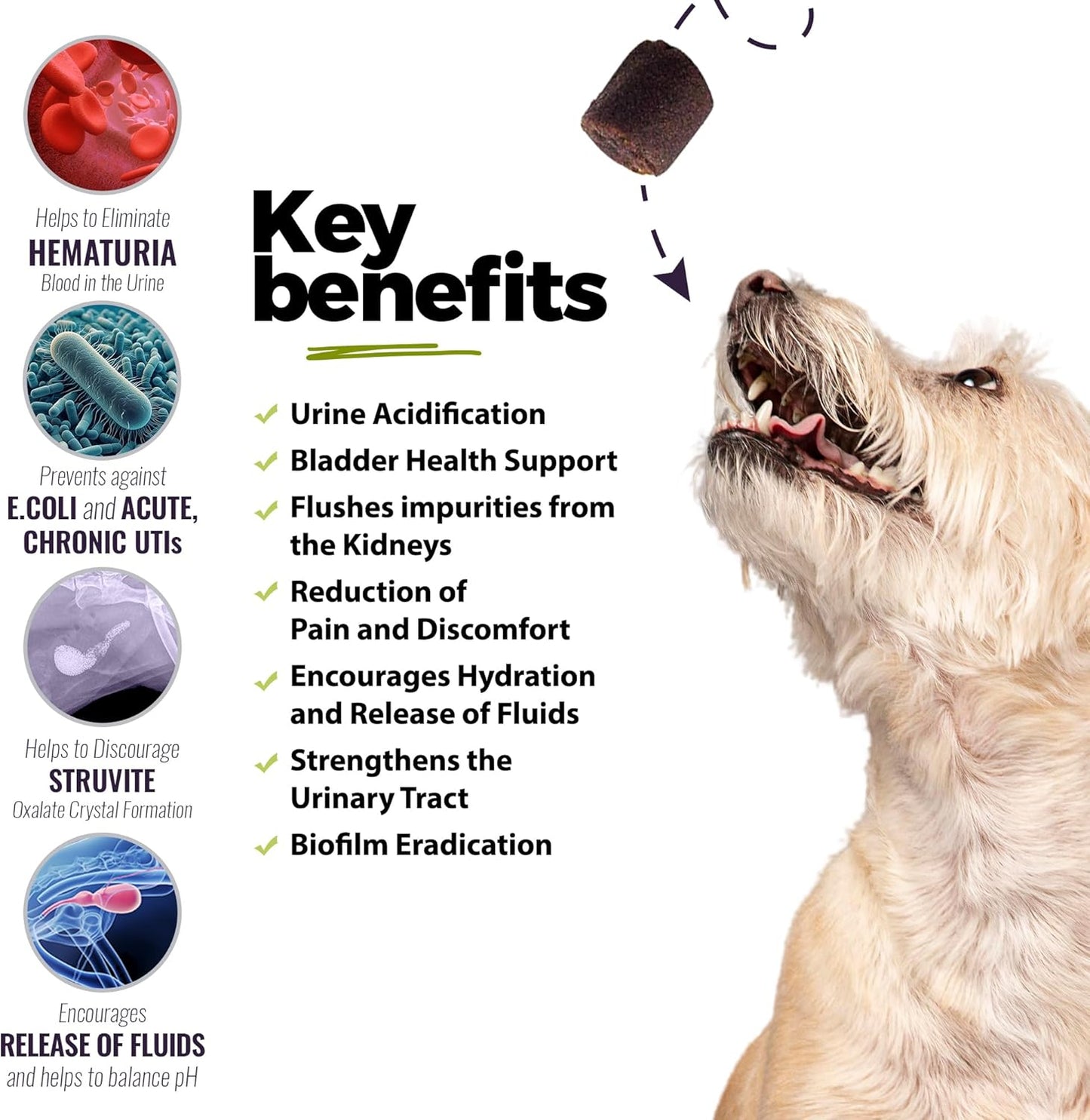 90 Count UroMAXX Dog UTI Treatment Chews - Natural Cranberry & Glucosamine Support - Made in USA - Chicken Flavor - 3 Pack