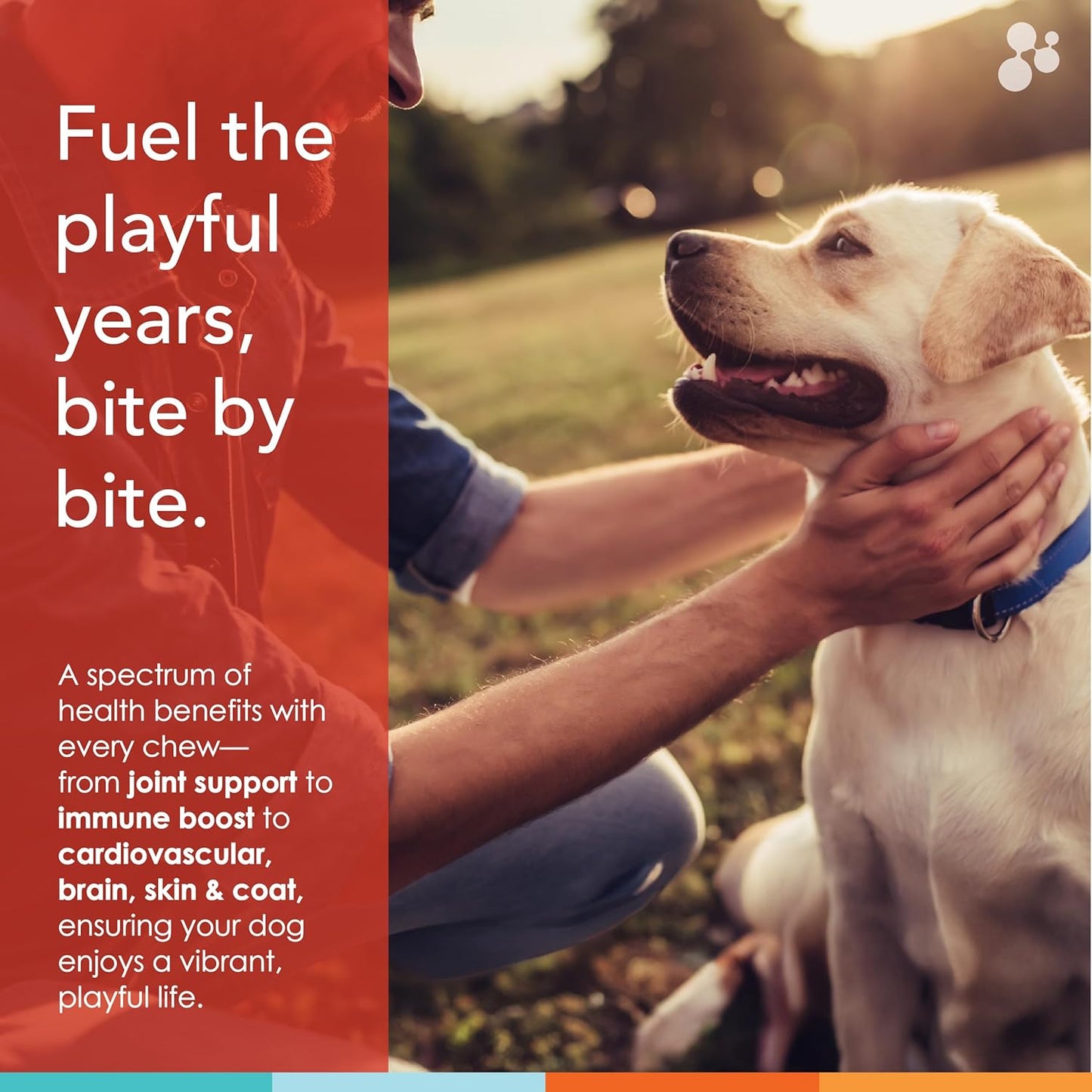 90 ct NUSENTIA Chew Vitamins for Dogs with Glucosamine, Antioxidants, Omega-3 for Joint, Skin, Liver, Heart Health - Spectrin