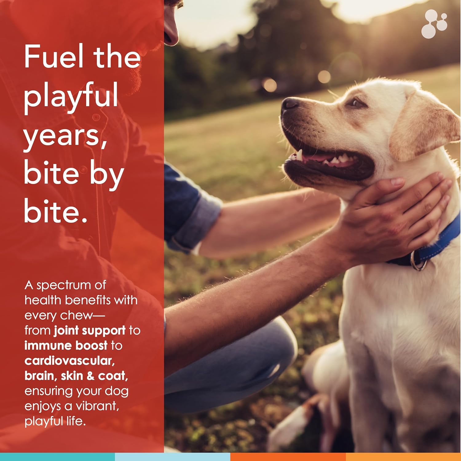 90 ct NUSENTIA Chew Vitamins for Dogs with Glucosamine, Antioxidants, Omega-3 for Joint, Skin, Liver, Heart Health - Spectrin