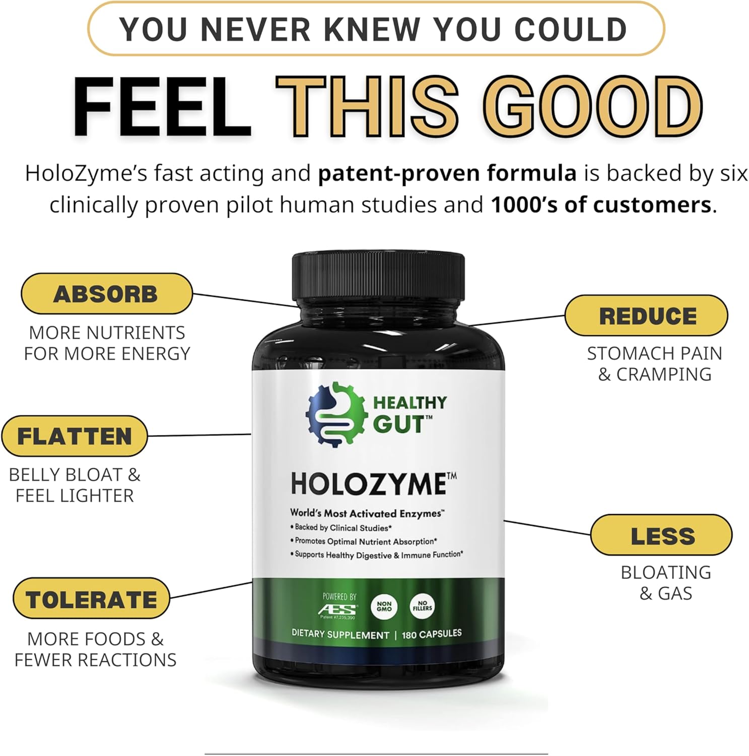 90 Servings of Healthy Gut HoloZyme Digestive Enzymes with HCL Guard+ for Optimal Digestion