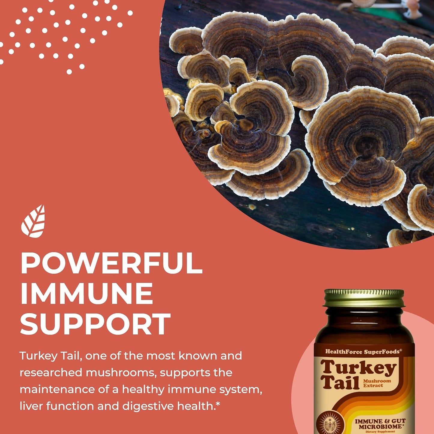 90 Vegan Capsules of HealthForce SuperFoods Turkey Tail Supplement