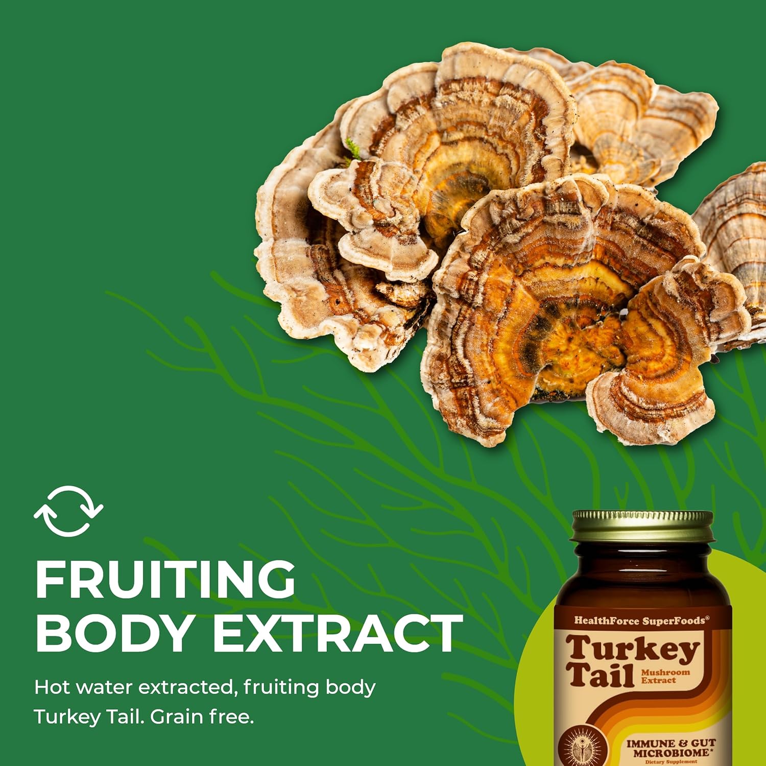 90 Vegan Capsules of HealthForce SuperFoods Turkey Tail Supplement