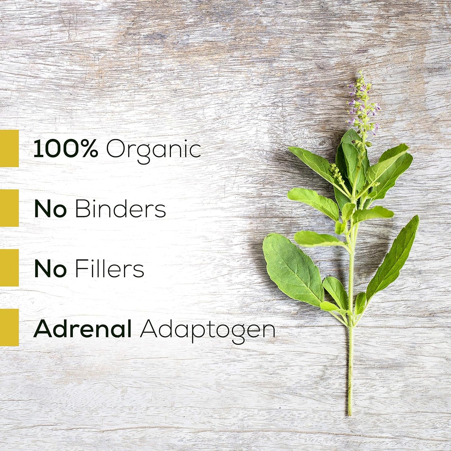 90 Vegetarian Capsules of Supreme Nutrition Tulsi Holy Basil for Ultimate Nutrition