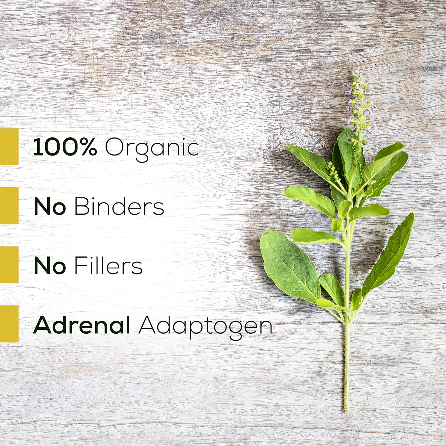 90 Vegetarian Capsules of Supreme Nutrition Tulsi Holy Basil for Ultimate Nutrition