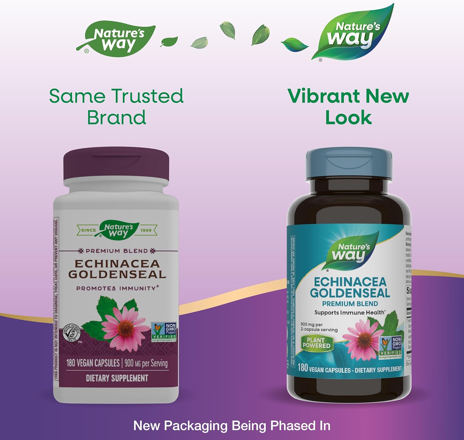 900mg Nature's Way Echinacea Goldenseal Capsules - Immune Support Blend with 7 Herbs - Cayenne Pepper, Gentian, Burdock - 180 Vegan Capsules (Pack of 2)