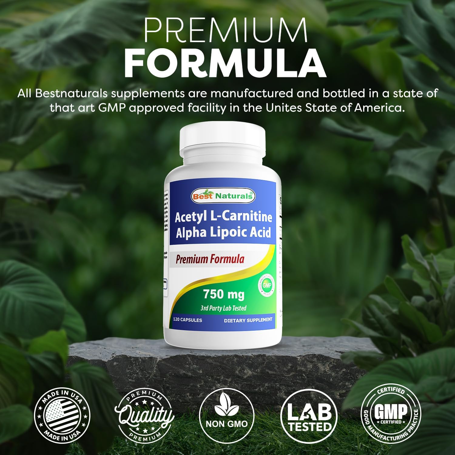 Acetyl L-Carnitine and Alpha Lipoic Acid Capsules - 750mg, 120 Count (Pack of 3) | Best Naturals