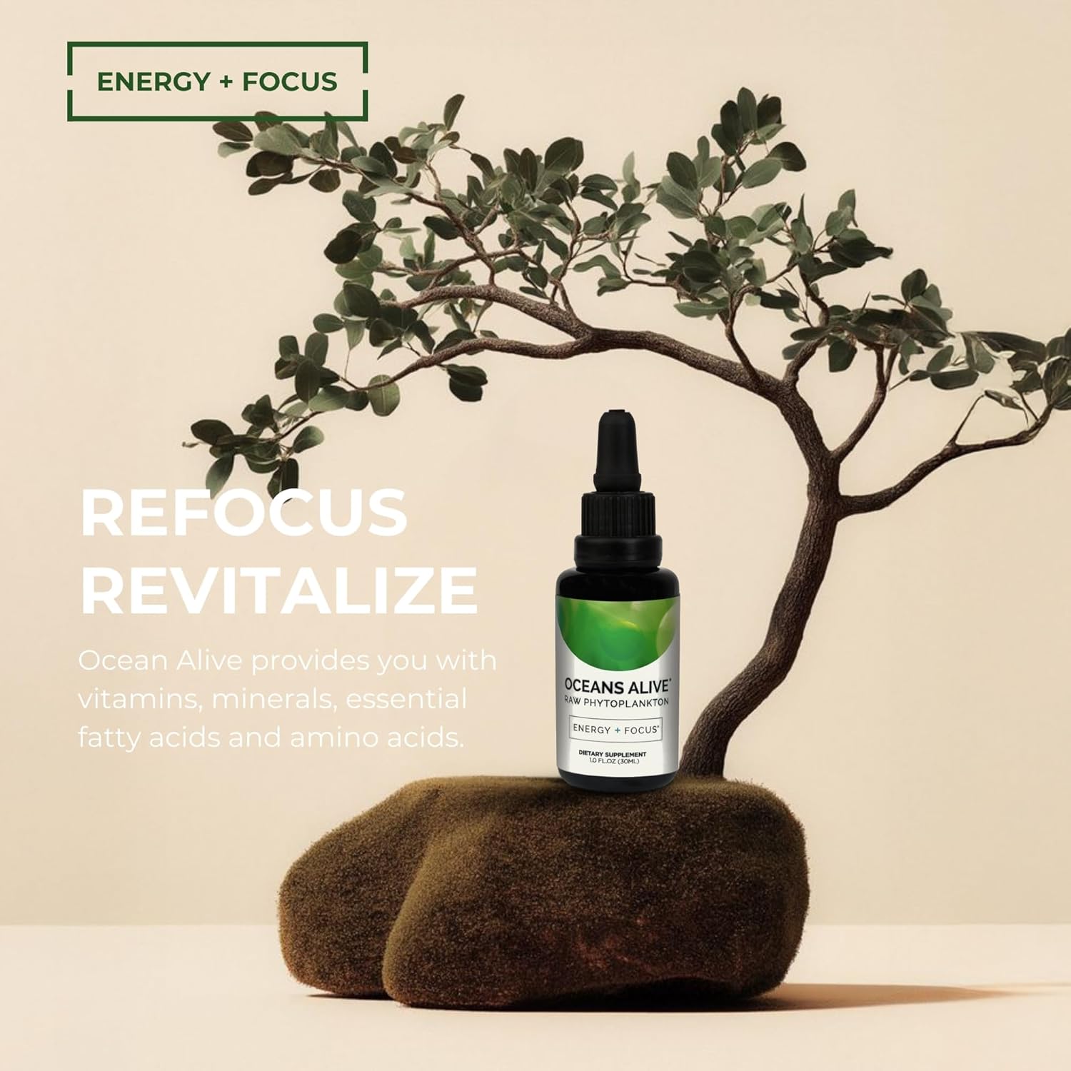 Activation Products Oceans Alive Chlorophyll Algae Supplement for Memory, Focus, Energy, and Stress - 30 ml Bottle - Marine Phytoplankton Oil with Minerals for Overall Wellness - 1 Month Supply