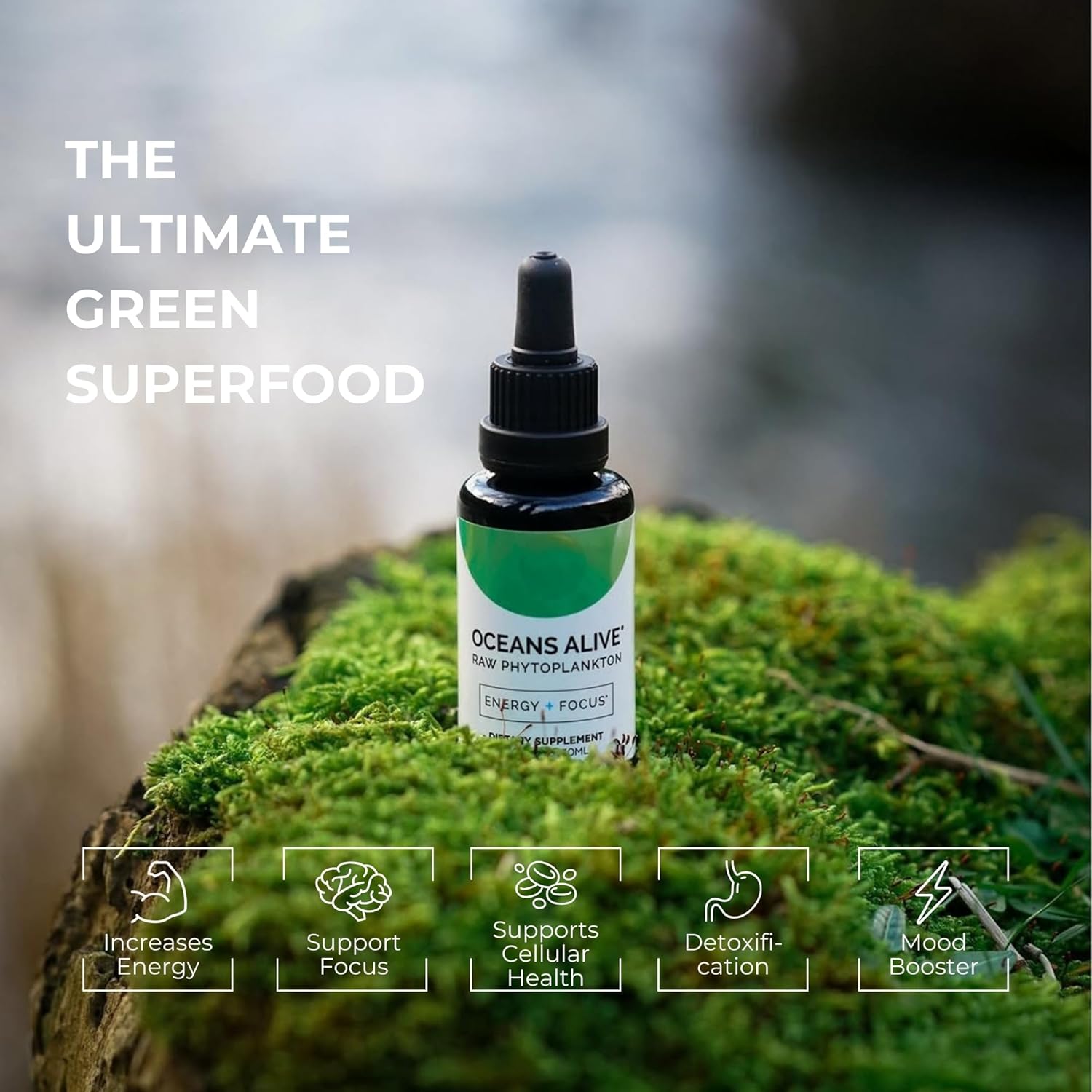 Activation Products Oceans Alive Chlorophyll Algae Supplement for Memory, Focus, Energy, and Stress - 30 ml Bottle - Marine Phytoplankton Oil with Minerals for Overall Wellness - 1 Month Supply