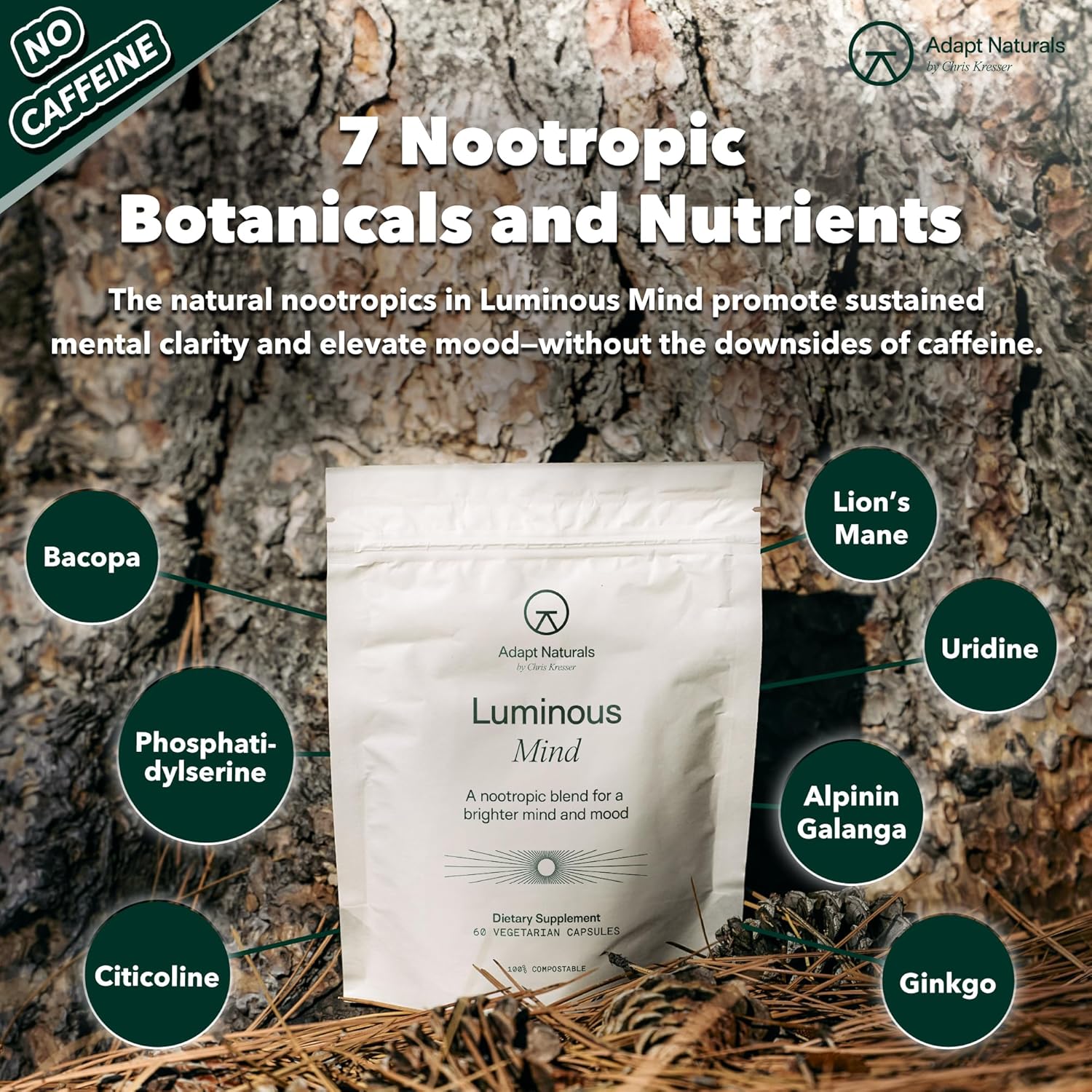 Adapt Naturals Luminous Mind Nootropic Supplement for Memory, Focus, and Mood Support - Caffeine-Free Brain Formula with Ginkgo Biloba, Bacopa, and Lions Mane - 30 Day Supply