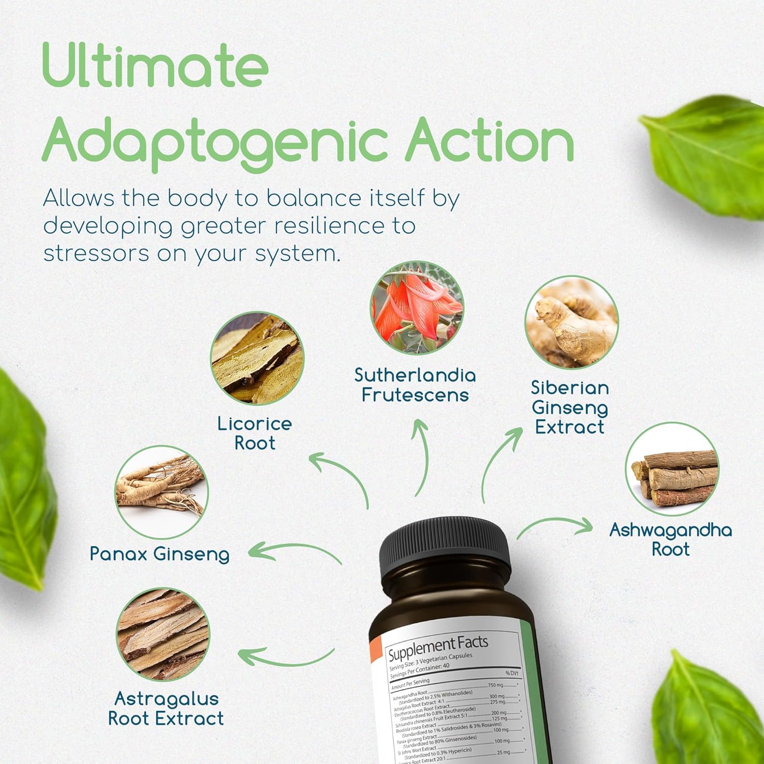 Adaptogen Immune Support Supplement with Ashwagandha, Siberian Ginseng, Astragalus Root - Promotes Healthy Body Functioning and Stress Relief - 120 Capsules