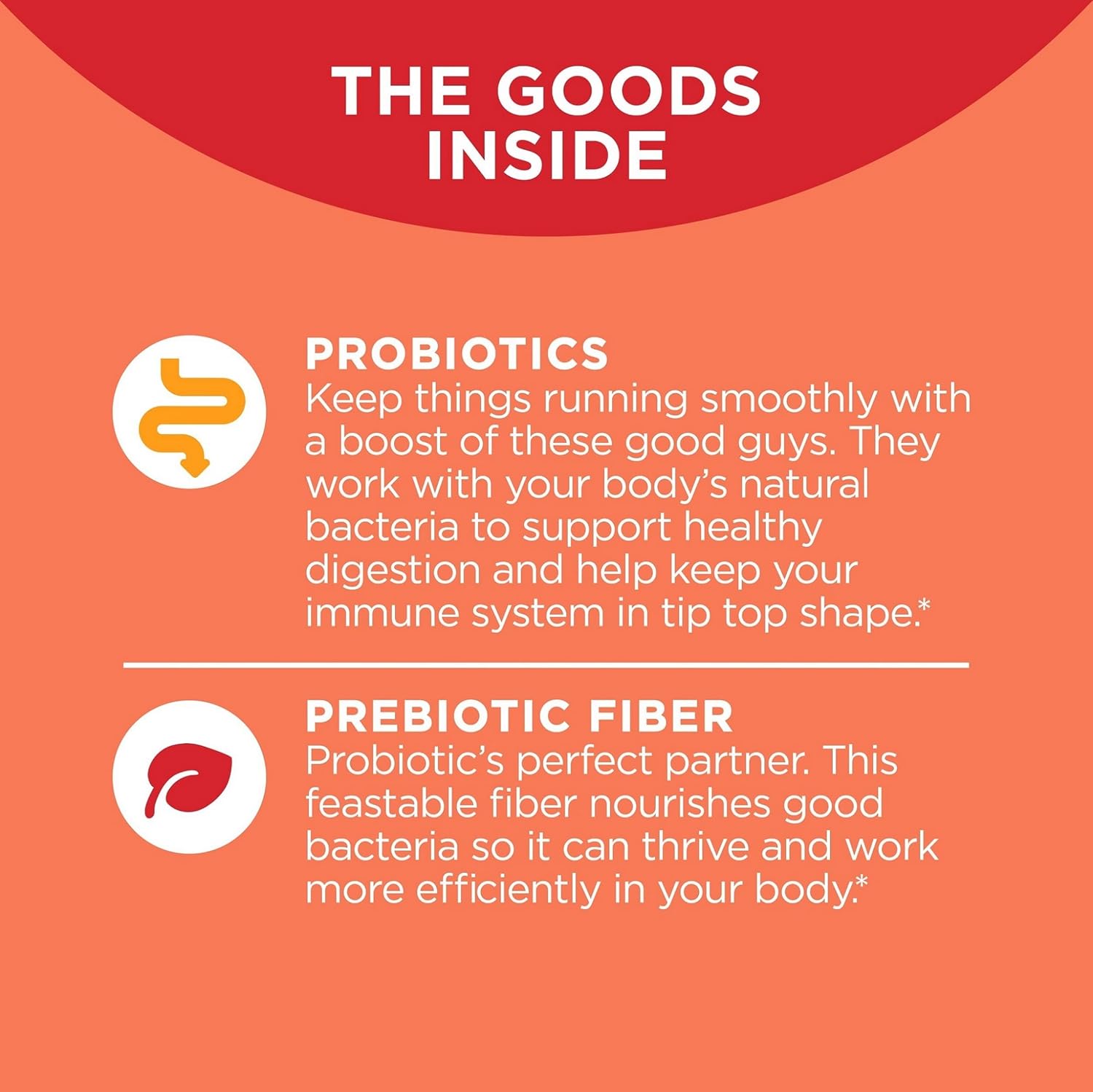 Adult Chewable Probiotic + Prebiotic Gummy with 500 Million CFUs, Fiber, Peach Flavor - Digestive and Gut Health Support - Case Pack