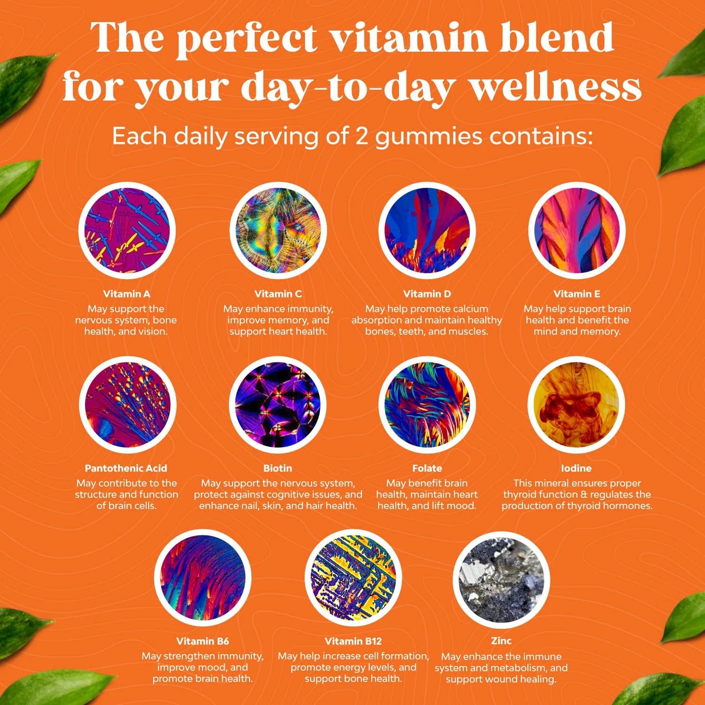 Adult Daily Multivitamin Gummies with Vitamin D, C, E, B12, Zinc, and Biotin for Energy & Immune Health - Non-GMO, Gluten Free, Halal - 180 Gummies