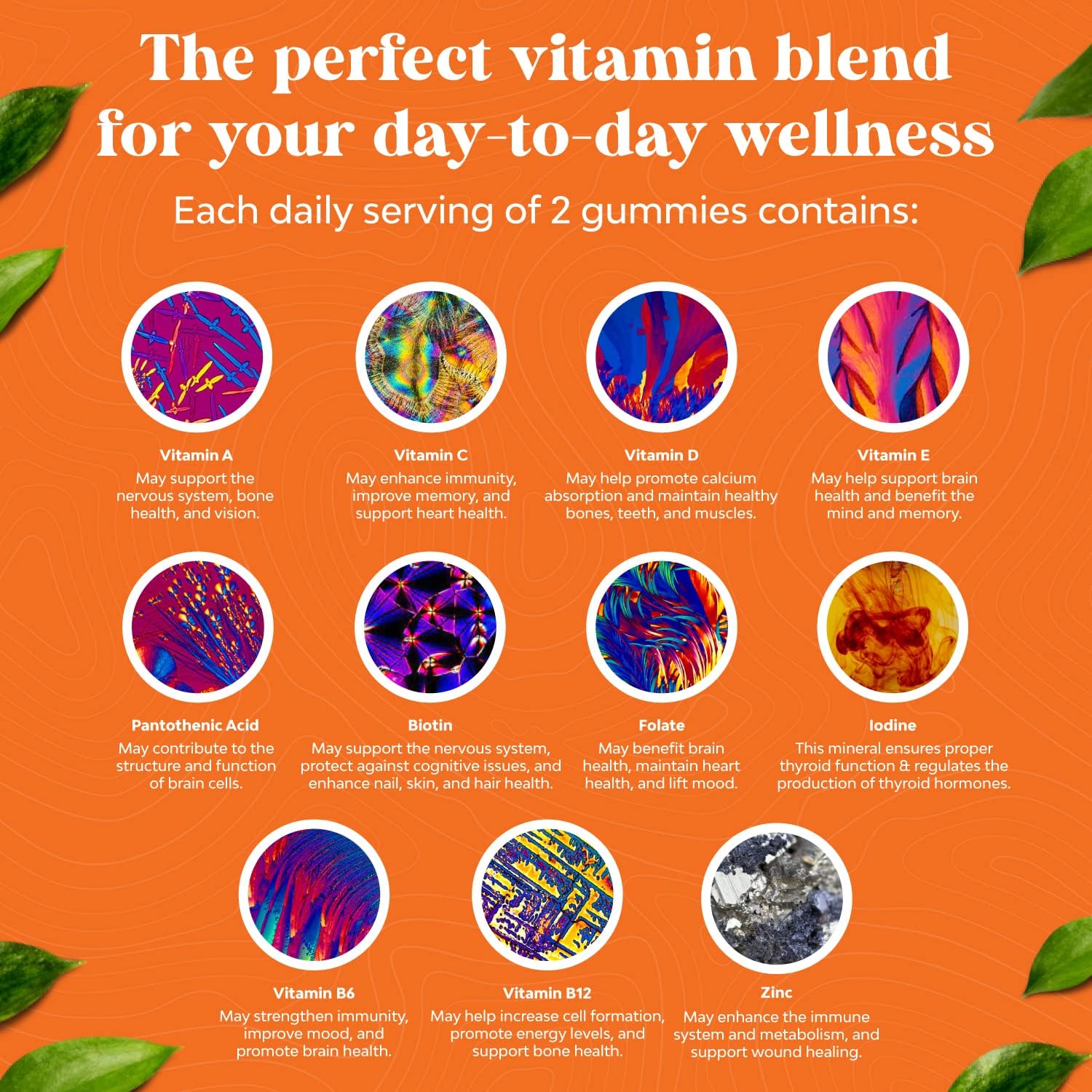 Adult Daily Multivitamin Gummies with Vitamin D, C, E, B12, Zinc, and Biotin for Energy & Immune Health - Non-GMO, Gluten Free, Halal - 180 Gummies