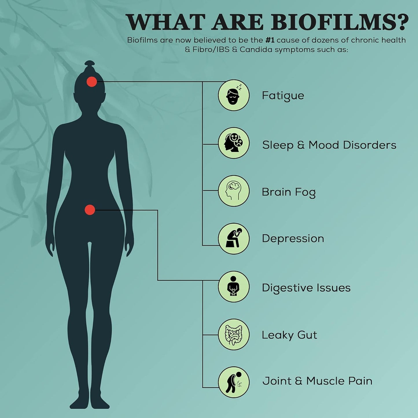 Advanced 3-Proteolytic Enzyme & Spore Probiotic Blend Supplement - 180 Capsules - Supports GI Health, Fibromyalgia, Gut Flora, Muscle & Joint Support - Biofilm Disruption Aid