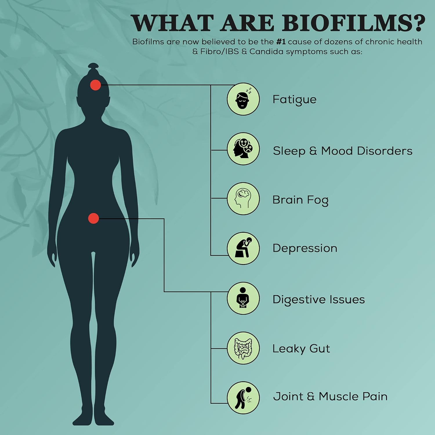 Advanced 3-Proteolytic Enzyme & Spore Probiotic Blend Supplement - 180 Capsules - Supports GI Health, Fibromyalgia, Gut Flora, Muscle & Joint Support - Biofilm Disruption Aid