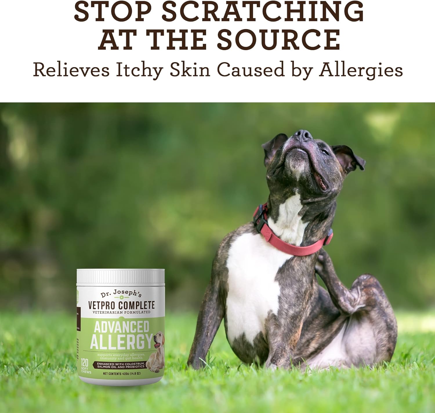 Advanced Allergy and Itch Support for Dogs - Seasonal Allergies, Itchy Skin, Immunity Boost - Salmon Oil, Probiotics, Colostrum - VetPro Formula