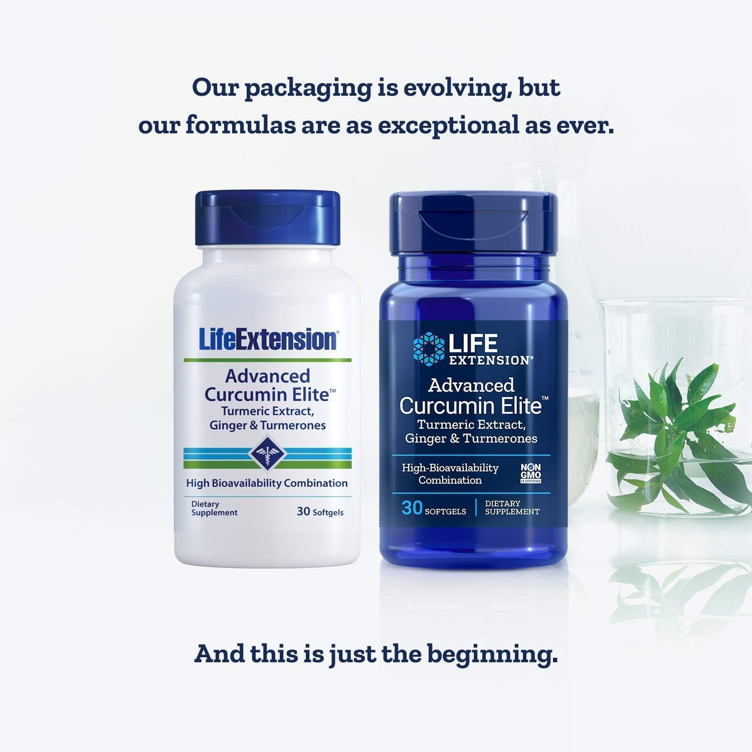 Advanced Curcumin Elite with Ginger & Turmerones - Life Extension 30 Softgels