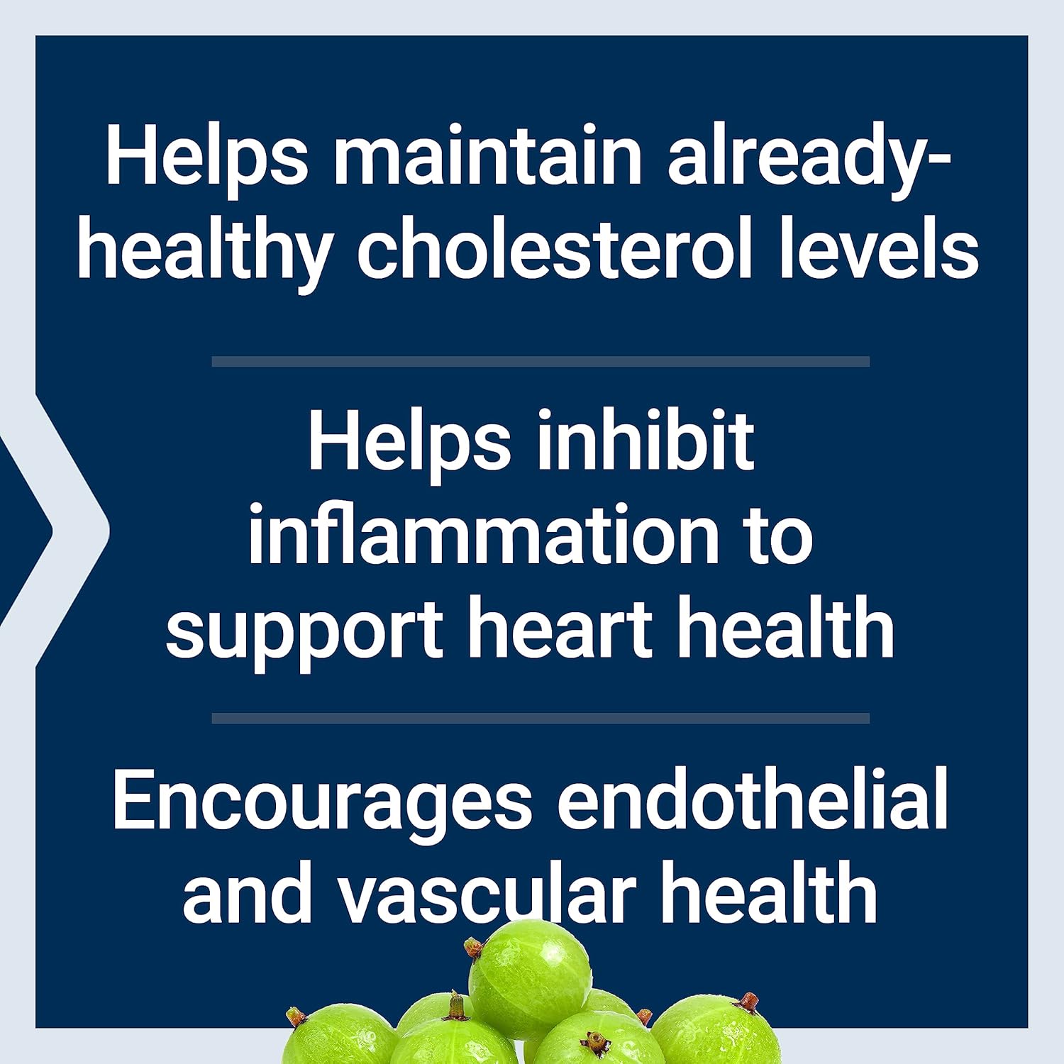 Advanced Lipid Control with Amla Extract for Heart and Endothelial Health - Vegetarian, Gluten-free - 60 Capsules