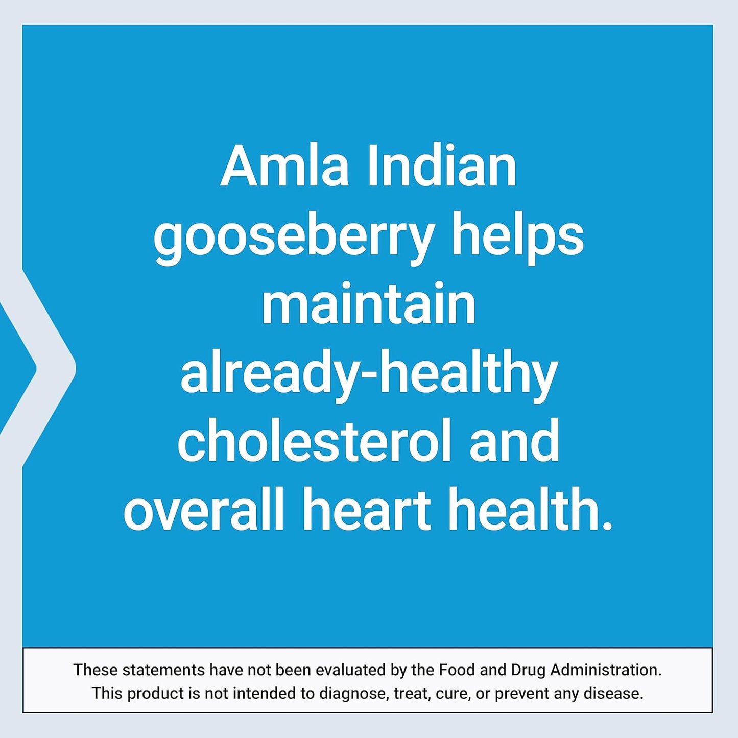 Advanced Lipid Control with Amla Extract for Heart and Endothelial Health - Vegetarian, Gluten-free - 60 Capsules