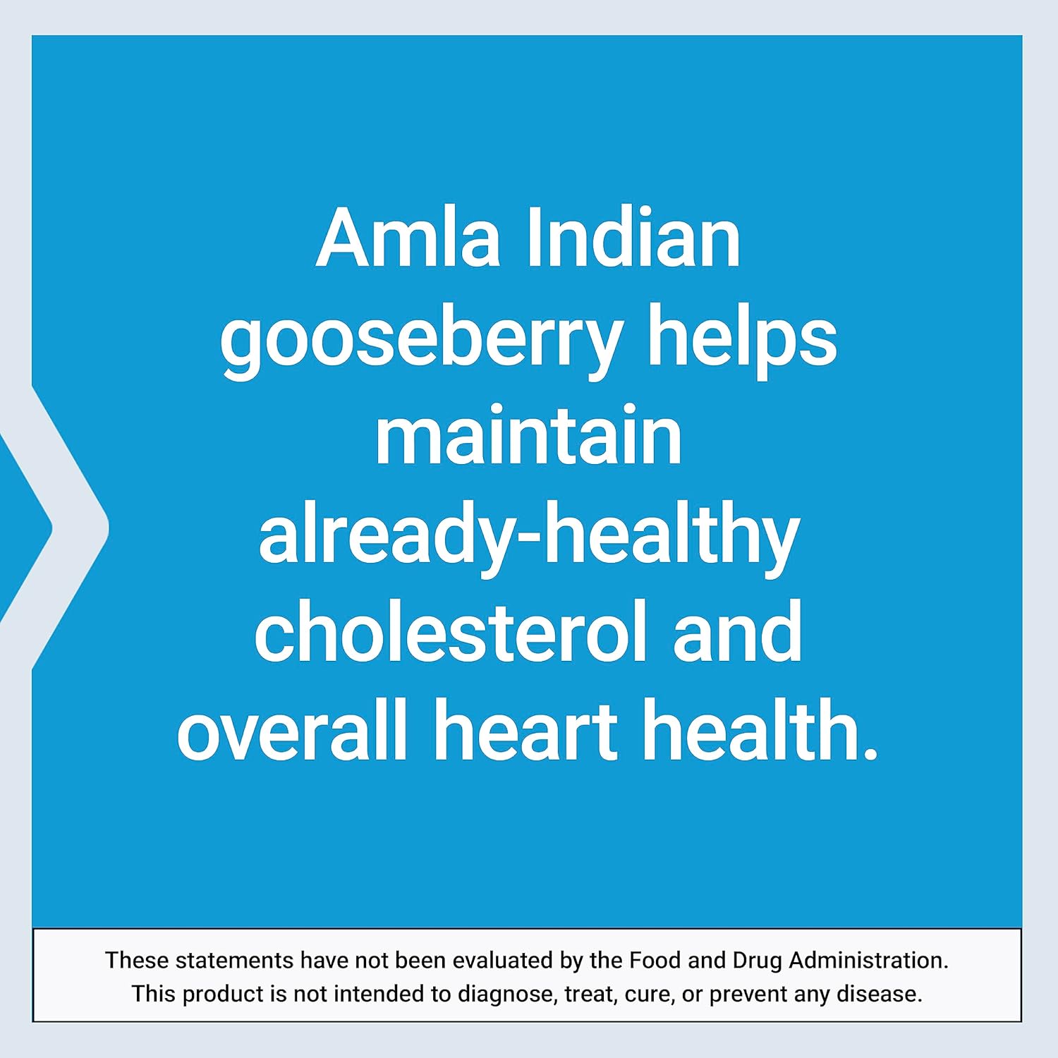 Advanced Lipid Control with Amla Extract for Heart and Endothelial Health - Vegetarian, Gluten-free - 60 Capsules