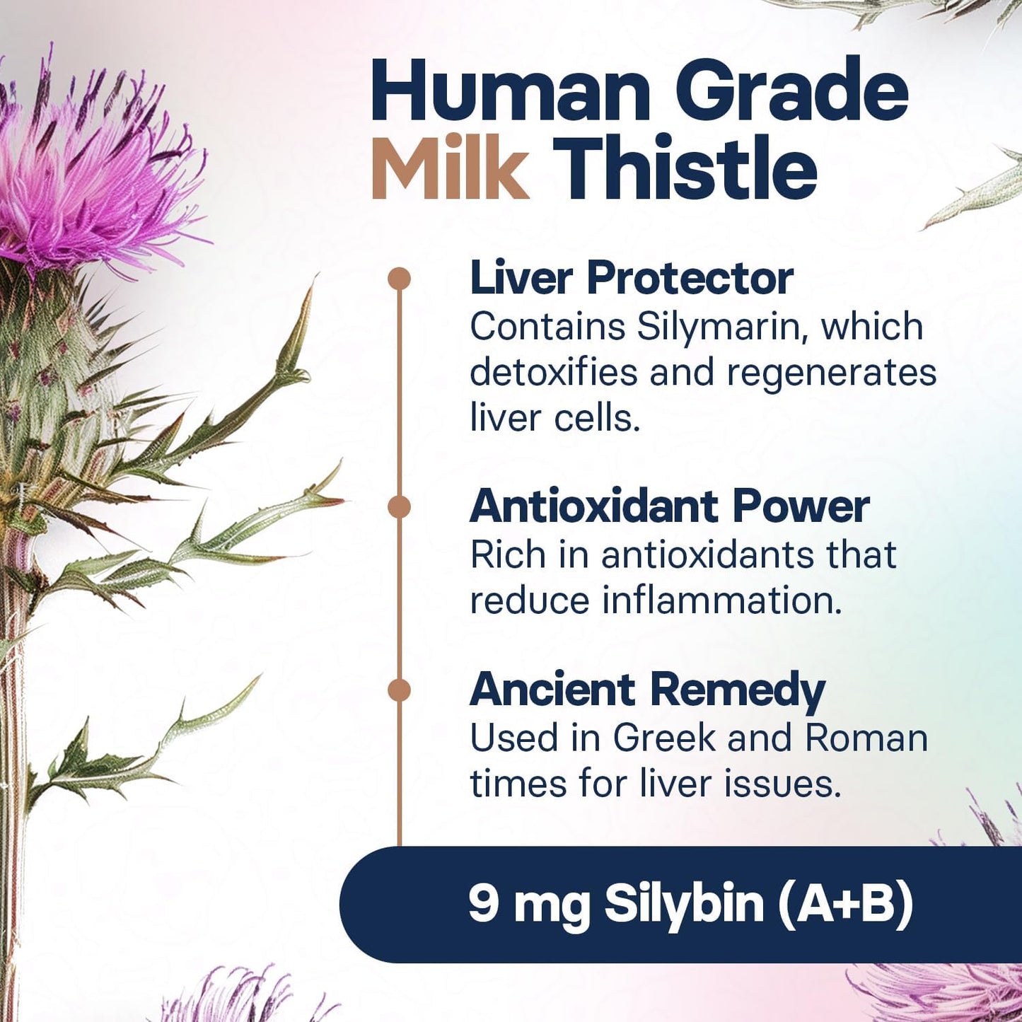 Advanced Liver Health Supplement for Cats - Milk Thistle with S-Adenosylmethionine & Silybin - 30 Tablets
