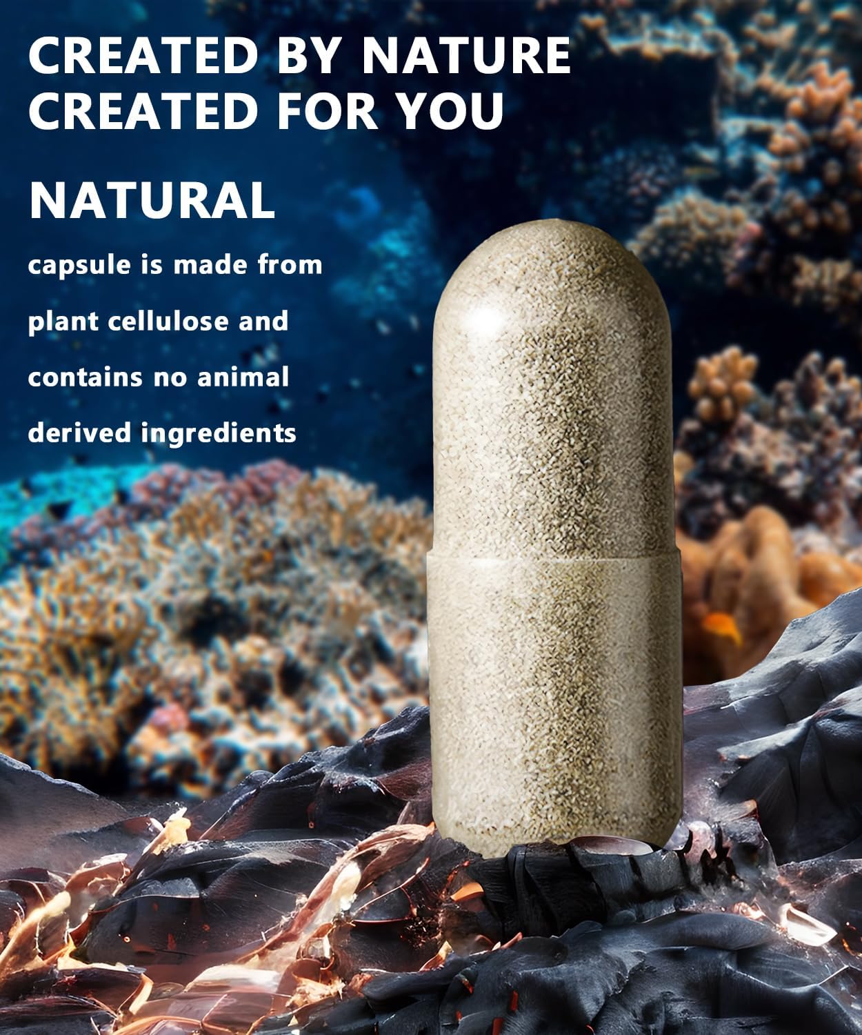 Advanced Sea Moss Capsules with Black Seed Oil, Aşhwagandha, Ginger, Vitamin C - 90 Tablets of Wildcrafted Sea Moss, Bladderwrack, Elderberry