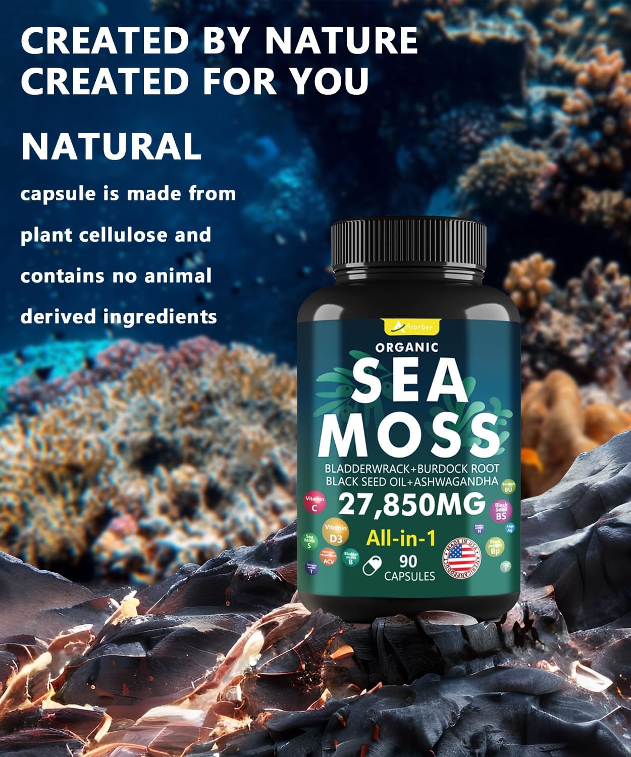 Advanced Sea Moss Capsules with Black Seed Oil, Ashwagandha, Ginger, Vitamin C & D3 - Superfood Blend with Bladderwrack, Elderberry - 90 Tablets