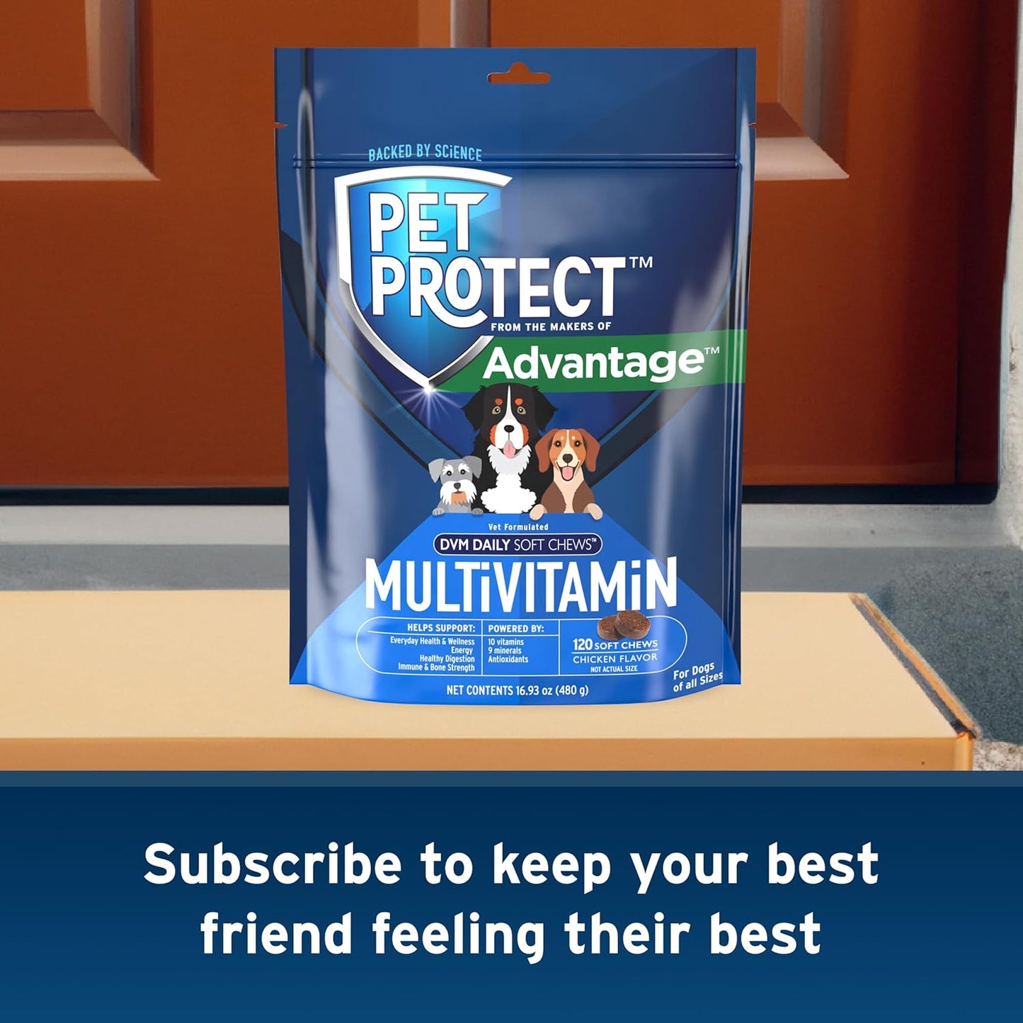 Advantage Pet Protect Daily Multivitamin Chews for Dogs - 120 Count