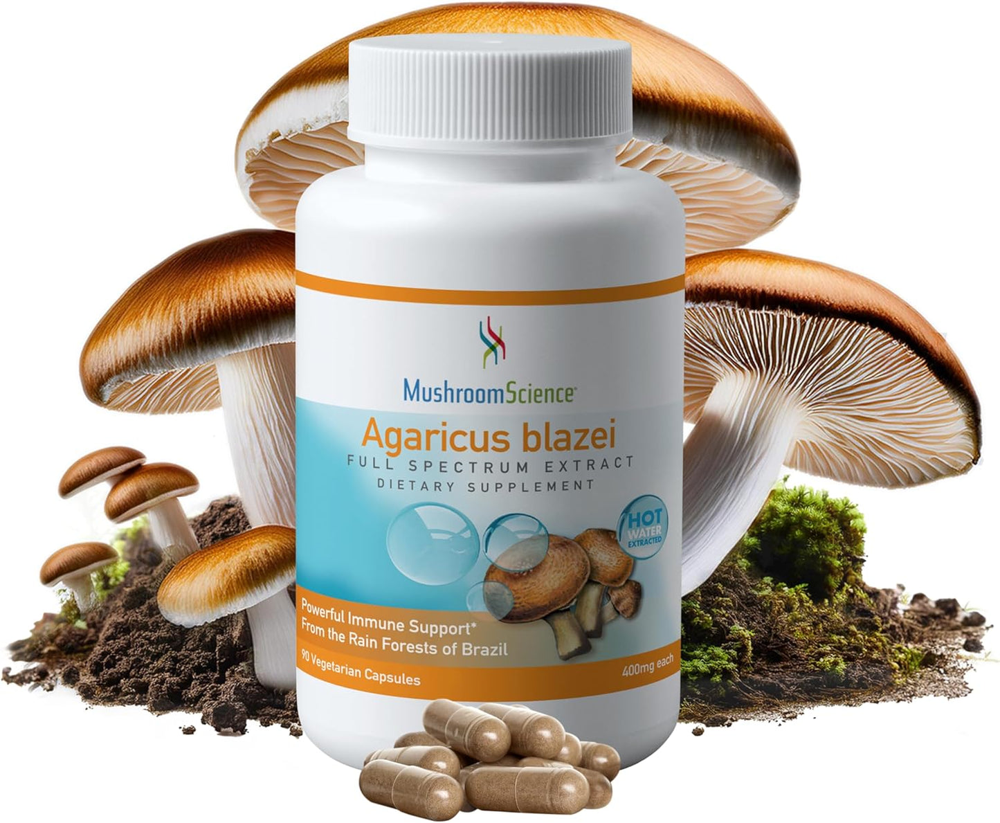 Agaricus Blazei Mushroom Capsules 400MG - Full Spectrum Extract, Hot Water Extracted, Vegetarian Supplement for Health Defense, 90 CT
