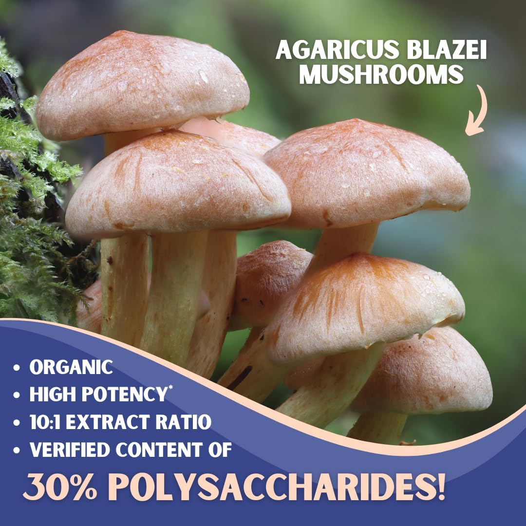 Agaricus Blazei Organic Mushroom Extract: Immune & Energy Support - 30% Polysaccharides - 180 Veg Caps - Non-GMO, Gluten-Free, Vegan