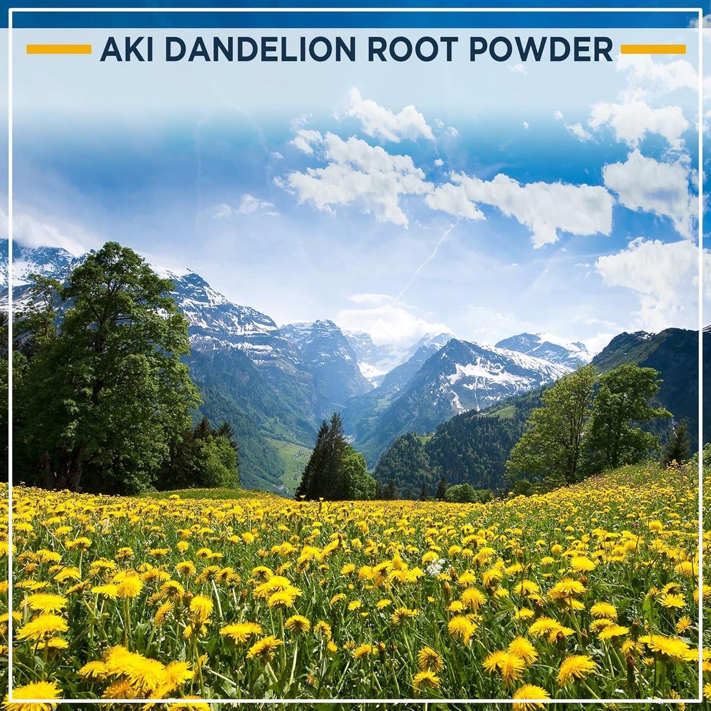 AKI ORGANIC Dandelion Root Powder - Rich in Vitamins & Antioxidants - Supports Immune Health - Gluten & Sugar-Free, Non-GMO (5.30oz /150g)