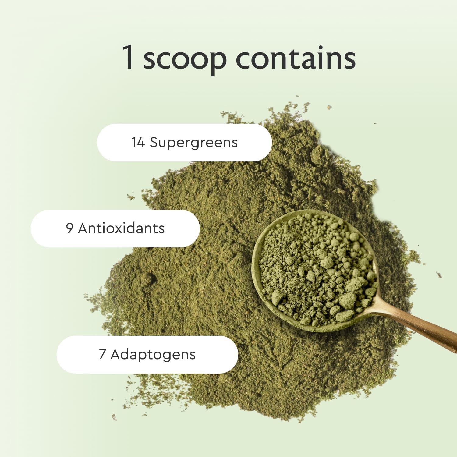 Alaya Naturals Organic Super Greens Powder - Premium Green Juice Superfood with Adaptogens, Antioxidants, Probiotics - USDA Organic, Non-GMO, Vegan - 30 Servings