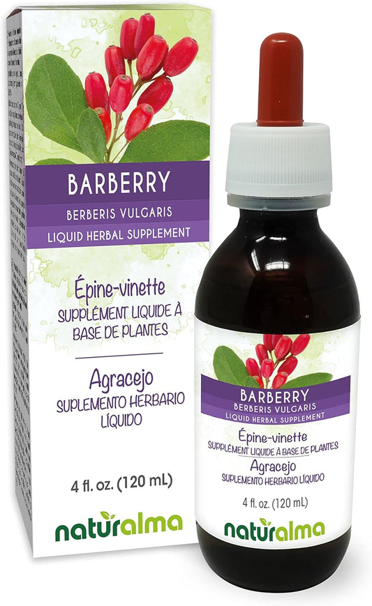 Alcohol-Free Barberry Root Bark Tincture - 4 fl oz Liquid Extract Drops - Herbal Supplement Vegan Friendly