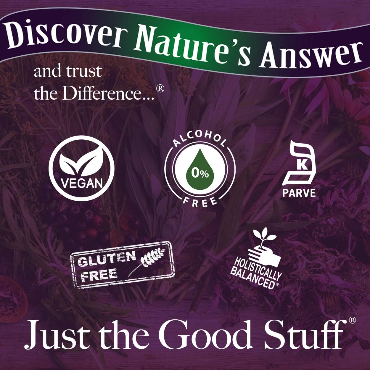 Alcohol-Free Bitters & Ginger Extract for Digestive Support - 2 oz, Gluten-Free, Stomach Support - Swedish Bitters, Digestive Bitters - All-Natural & Suitable for Everyone