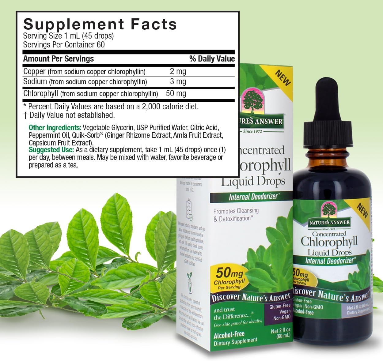 Alcohol-Free Chlorophyll Liquid 50mg 2oz | Internal Deodorant | Skin & Hair Support | Immune Function & Detox | Gluten Free, Non-GMO | Single Count