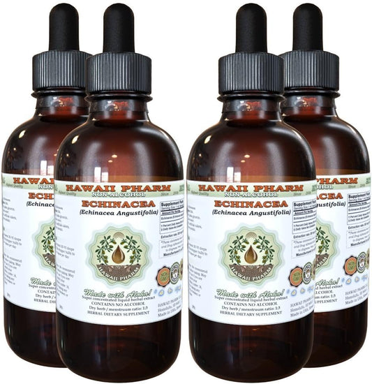 Alcohol-Free Echinacea Liquid Extract - 4x4 oz Glycerite Supplement by Hawaii Pharm