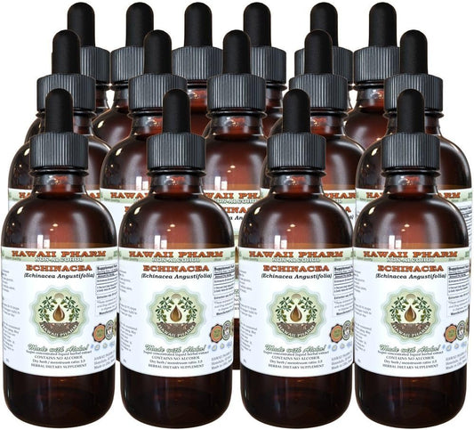 Alcohol-Free Echinacea Liquid Extract - Natural Herbal Supplement - 4 oz x 15 - Made with Echinacea Angustifolia Root Glycerite by Hawaii Pharm