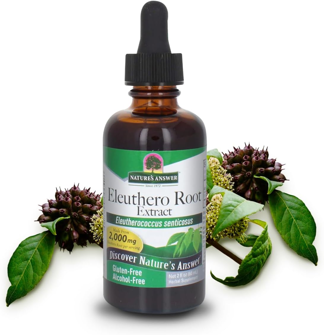 Alcohol-Free Eleuthero Root Extract 2000mg 2oz - Supports Wellness - Vegan, Non-GMO, Gluten Free, Kosher - Single Count