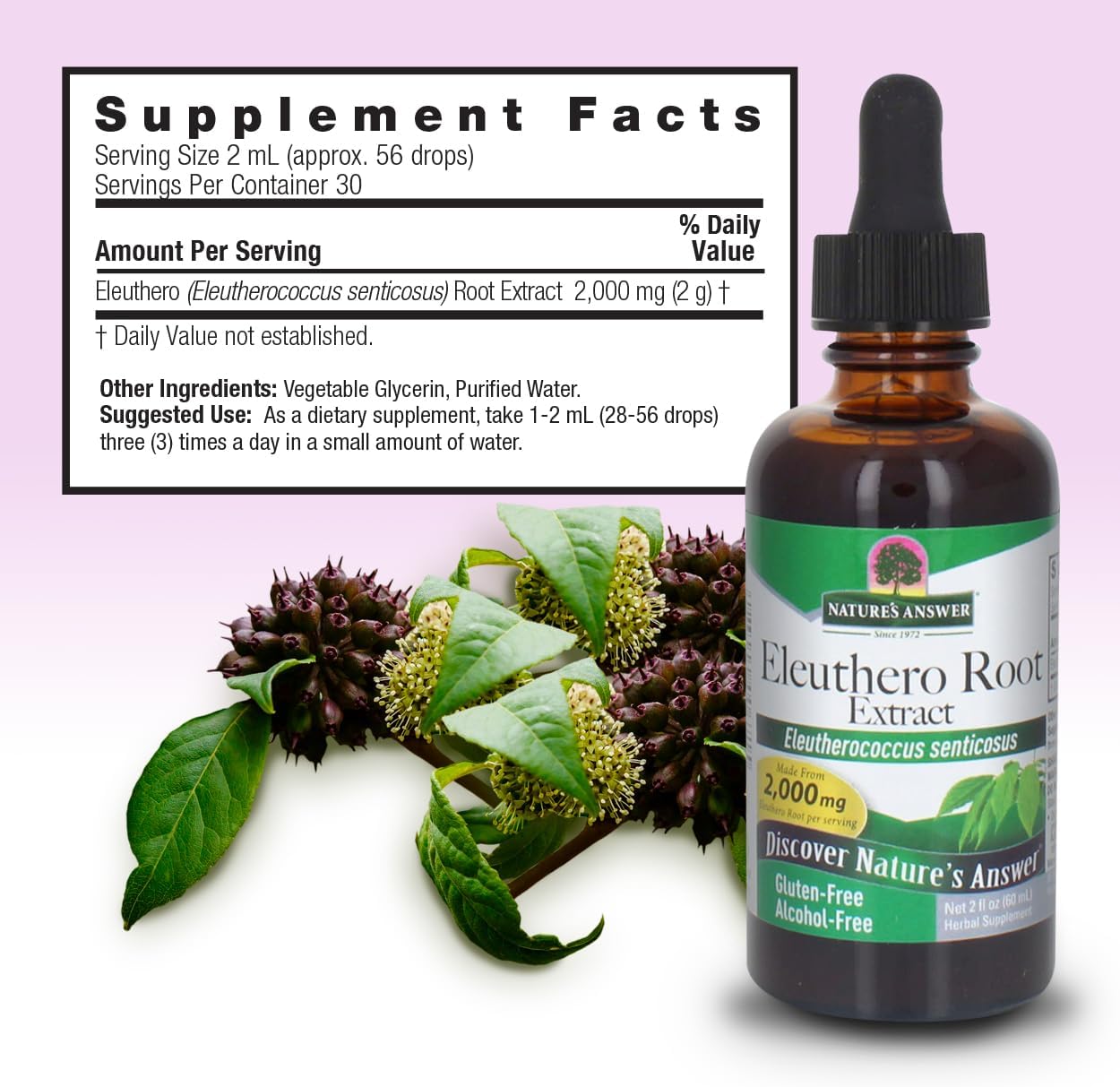 Alcohol-Free Eleuthero Root Extract 2000mg 2oz - Supports Wellness - Vegan, Non-GMO, Gluten Free, Kosher - Single Count