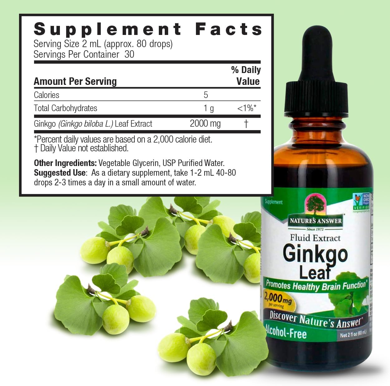 Alcohol-Free Ginkgo Leaf Extract 2000mg for Memory & Mood | 2oz | Gluten-Free & Kosher Certified | No Preservatives | Single Count