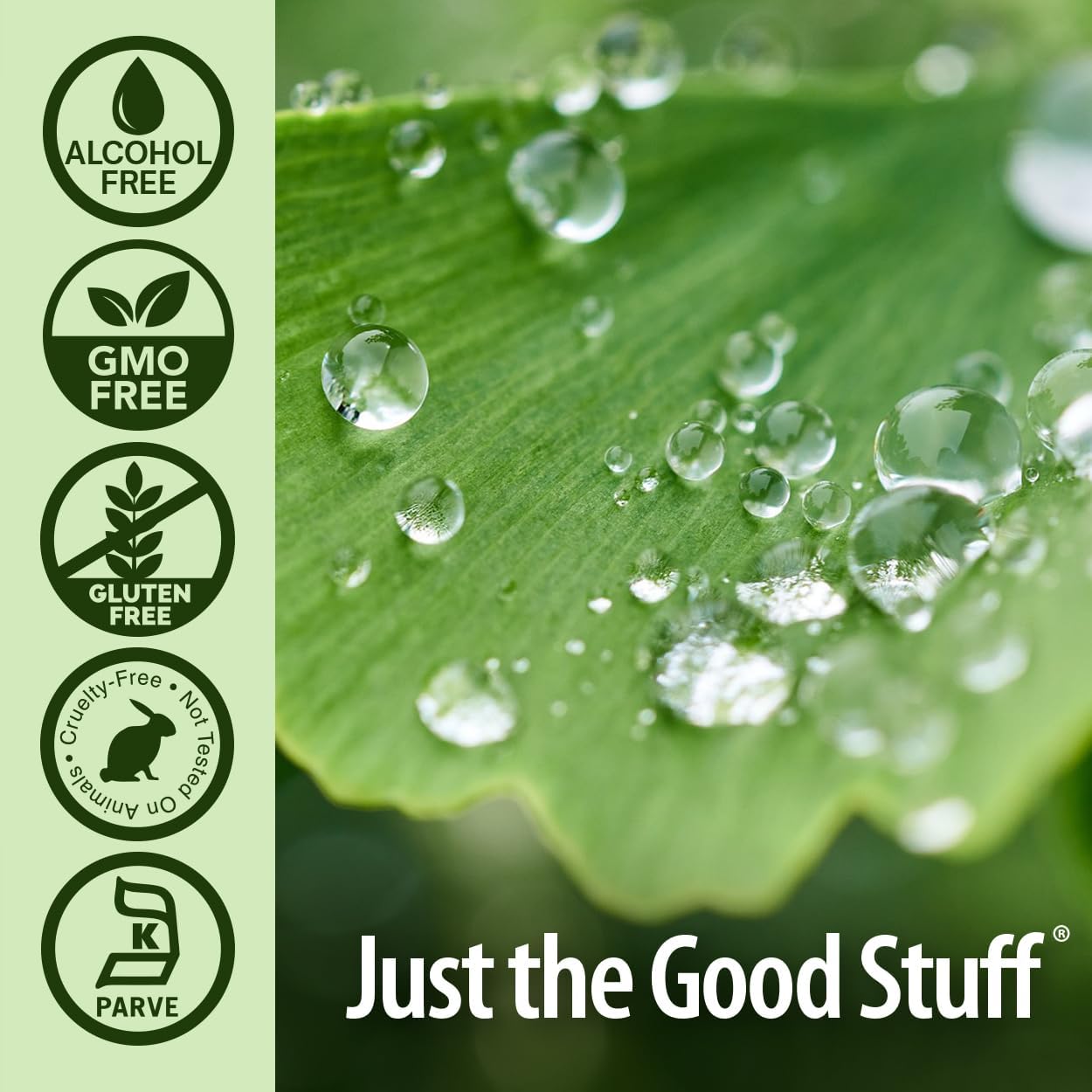 Alcohol-Free Ginkgo Leaf Extract 2000mg for Memory & Mood | 2oz | Gluten-Free & Kosher Certified | No Preservatives | Single Count