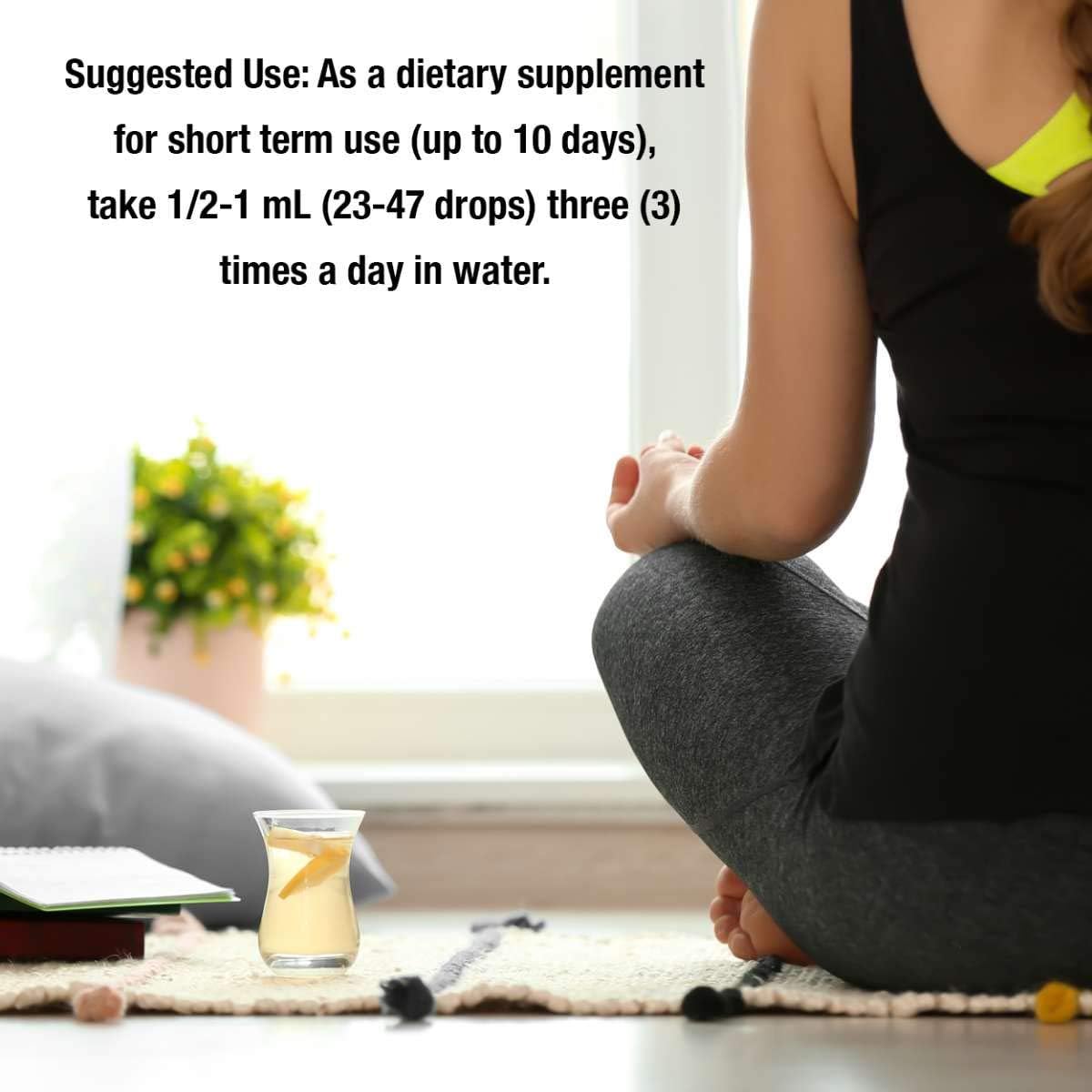 Alcohol-Free Golden Seal Root Extract | Natural Immune Booster with Hydrastine and Berberine | Promotes Lung Health | 1oz Single Count